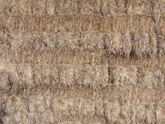 Shaftal Clover and Ryegrass Small Square Bales
