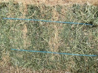 Lucerne Small Square Bales