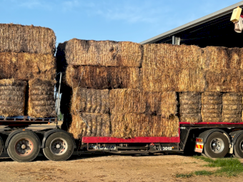 Semi Damaged Straw