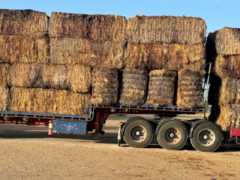 Semi Damaged Straw