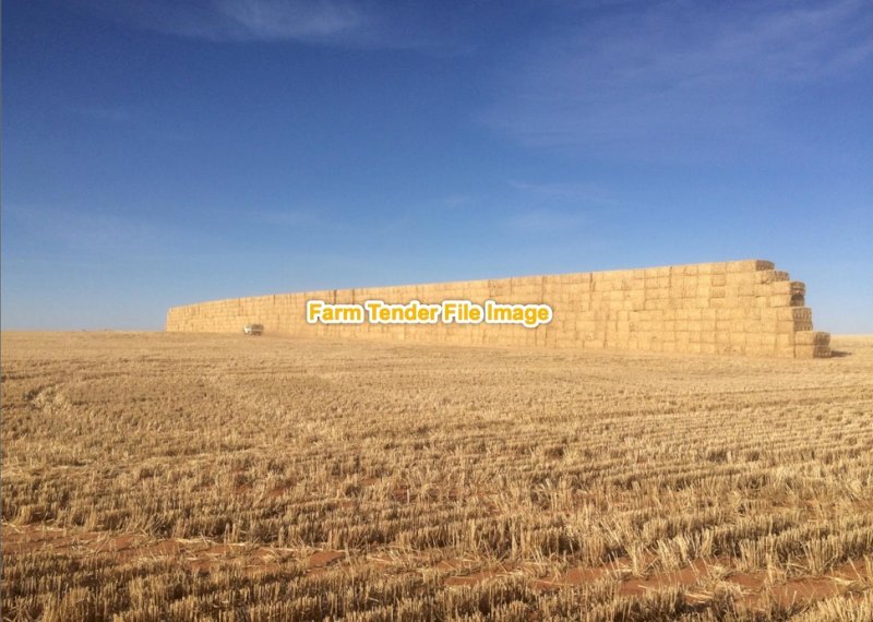 500 Bales Wheaten Straw