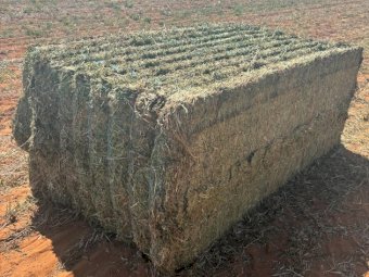1200mt Vetch Hay 700kg 8x4x3 Bales (New Season 24/25)
