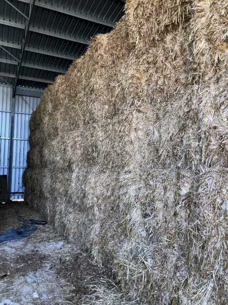 150MT Oaten Hay 8X4X3 Large Square Bales.