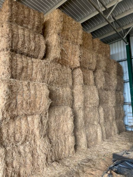 40mt Lucerne Hay 8x4x3 Bales