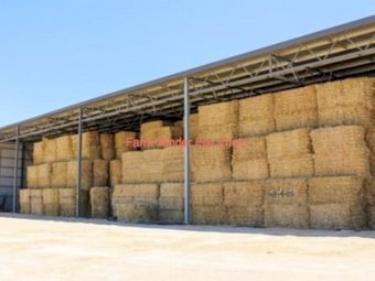 55 x Oaten and Rye Grass Hay 8x4x3 Bales