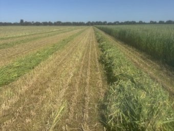 200 mt Oaten Hay  24/25 Season