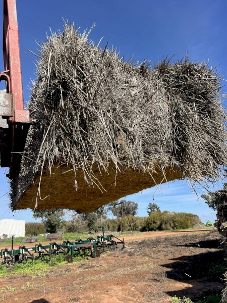 Wheaten Hay Top Bales 550kg 8x4x3 Bales
