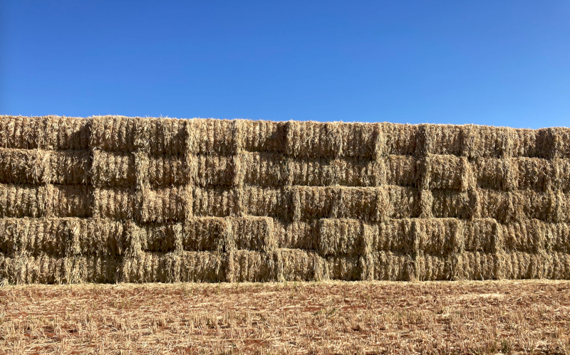 190mt Oaten Hay 634kg 8x4x3 Bales