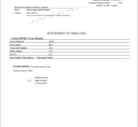 4MT Cowpea Seed
