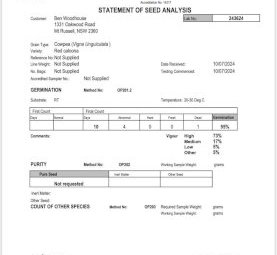4MT Cowpea Seed
