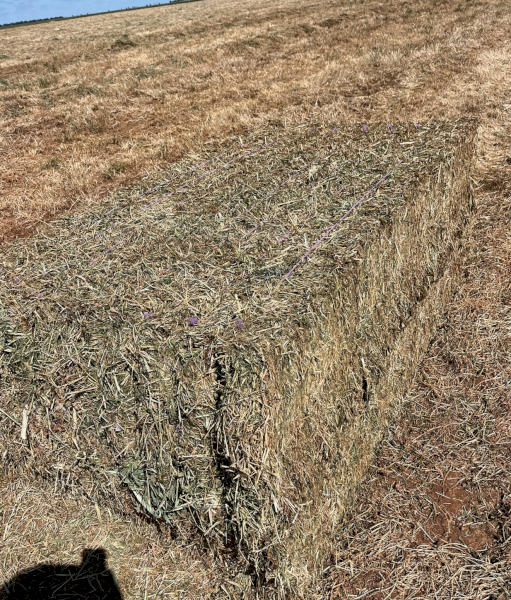 325mt Oaten Rye Hay 650kg 8x4x3 Bales (New Season)
