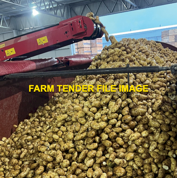 WANTED Potato Bin Trailers