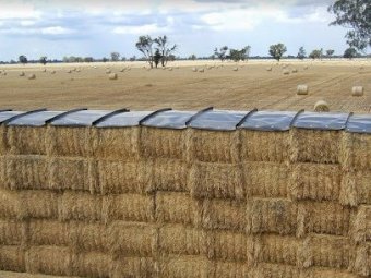 240 Used Hay Caps