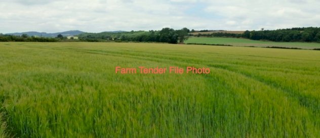 WANTED Standing Cereal Crops