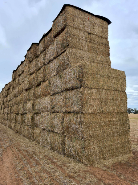 300mt Vetch Hay 8x4x3 Bales (New Season 24/25)