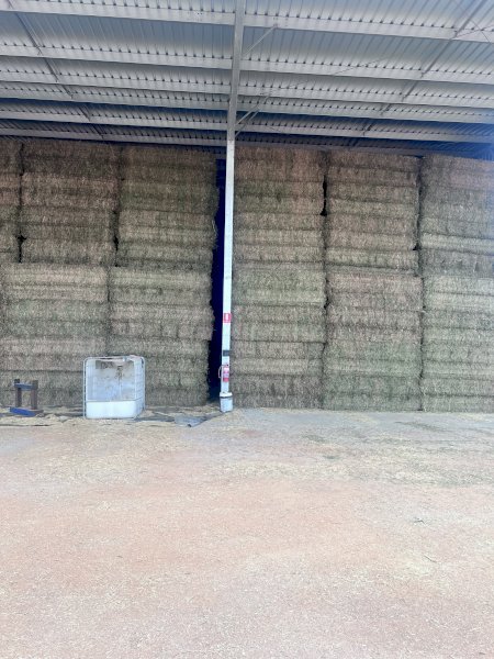 200mt Vetch Hay 650-700kg 8x4x3 Bales (New Season 24/25)