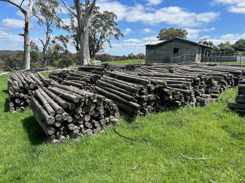 Used Treated Pine Posts x 20 Bundles