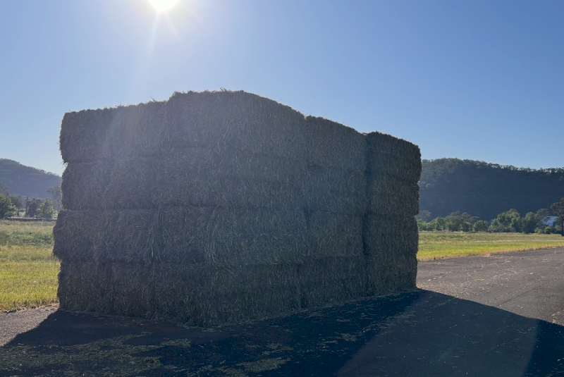 36 x Oaten Hay 8x4x3 Bales