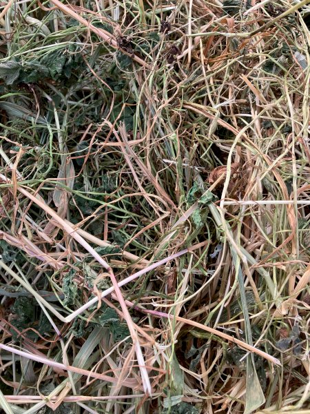Pasture Hay 500kg 5x4 Rolls
