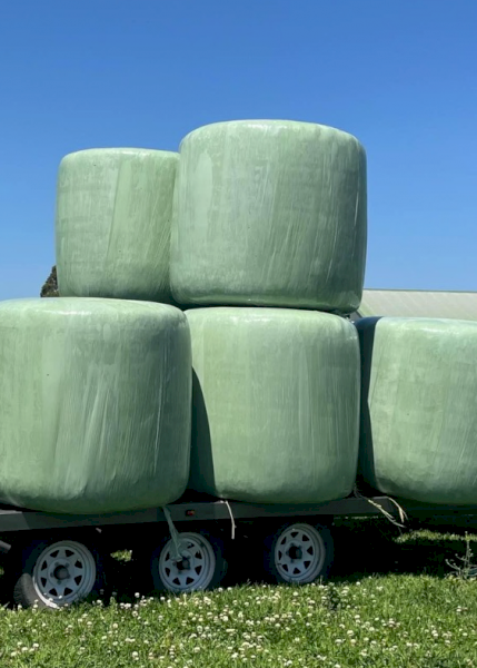 150 x Barley and Oats Silage