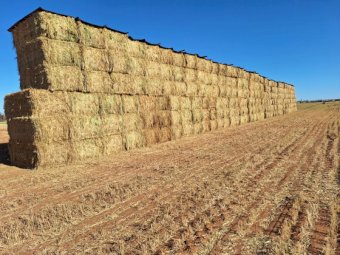 500mt Wheaten Hay 650-700kg 8x4x3 Bales