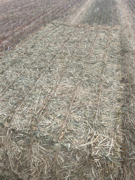 1500 mt Wheaten Hay 24/25 season