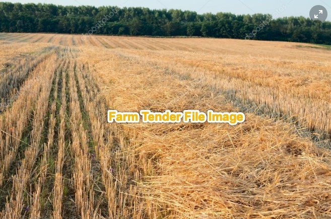 500 mt Wheaten Straw