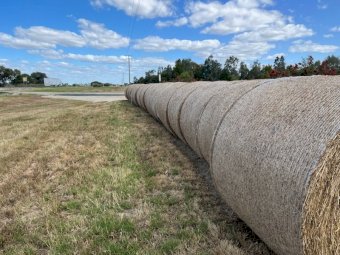10 x Lucerne Hay 5x4 Round Bales