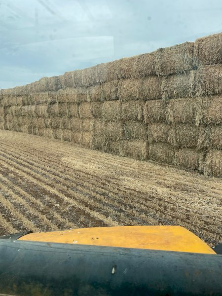 80mt Barley Hay 8x4x3 Bales Top Bales