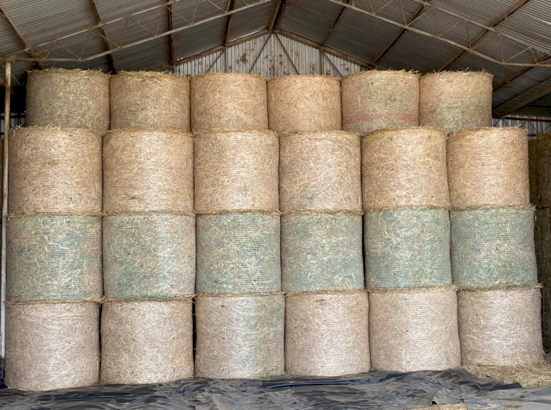 100 x Oaten Hay 400kg 4x4 Round Bales