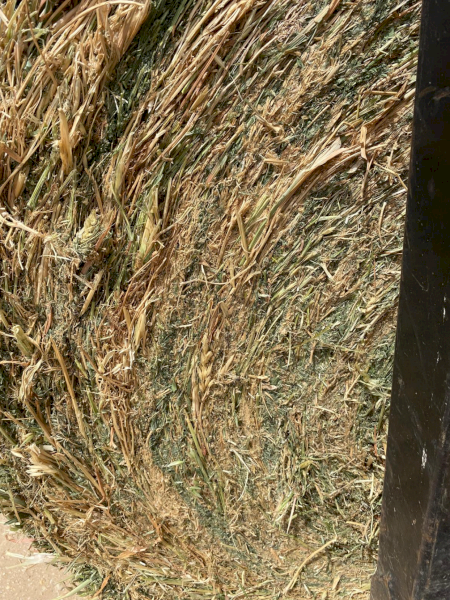 400 x Vetch Oaten Hay 420kg 4x4 Rolls