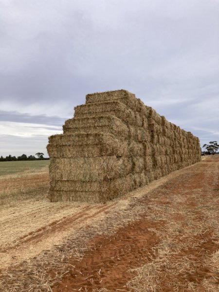 300 mt Wheaten Hay 24/25 Season