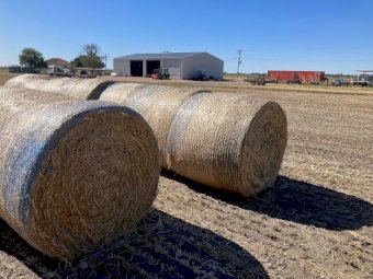 350 x Barley Hay 5x4 Round Bales