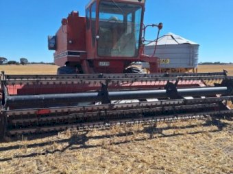 International 1420 Header