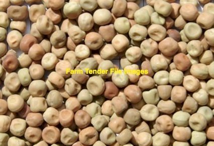 100 mt Field Peas