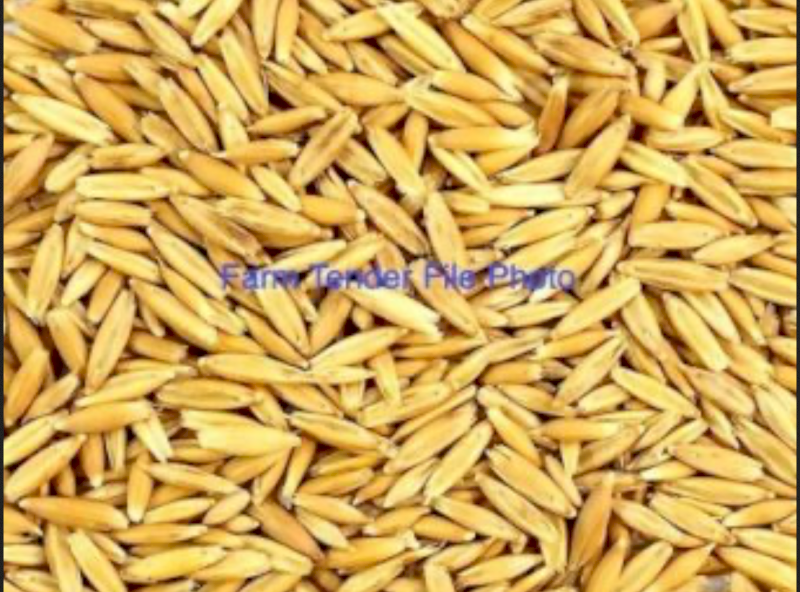 WANTED Oats