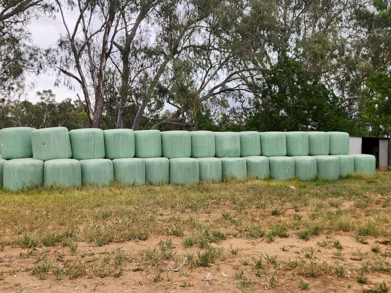 160 Rolls Oaten-Rye grass Silage