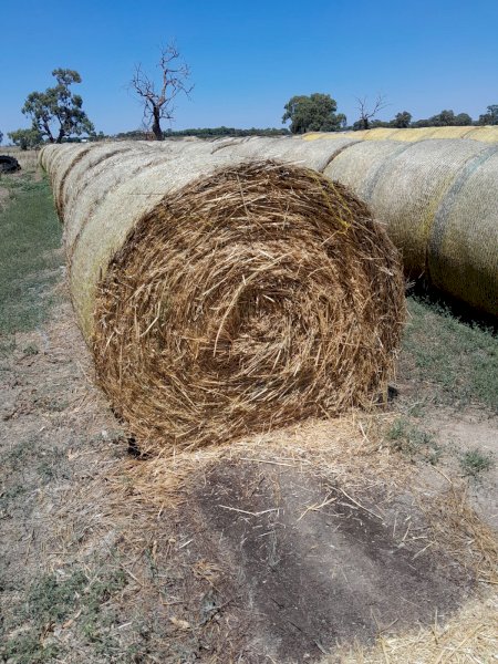 68 x Oaten Hay 320kg 5x4 Rolls