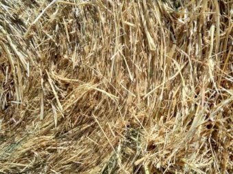 68 x Oaten Hay 320kg 5x4 Rolls