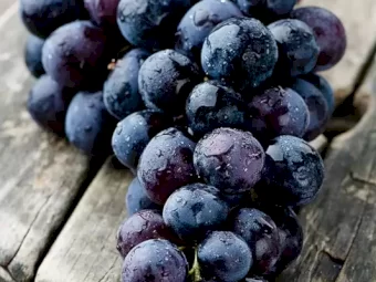 WANTED 3-5 ton of Black Grapes to make Wine