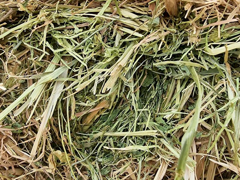 26mt Clover Oat Ryegrass Mixed Hay 650kg 8x4x3 Bales