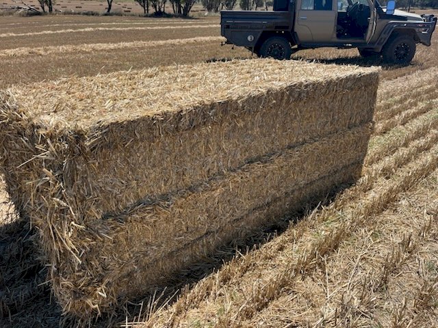 500 X Wheaten & Oaten / Rye Straw 8X4X3 Large Square Bales