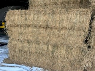 100 X Lucerne 8X4X3 Large Square Bales