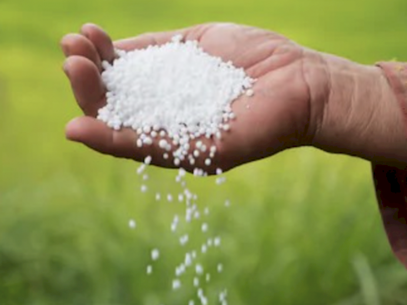 Urea Ex Brisbane
