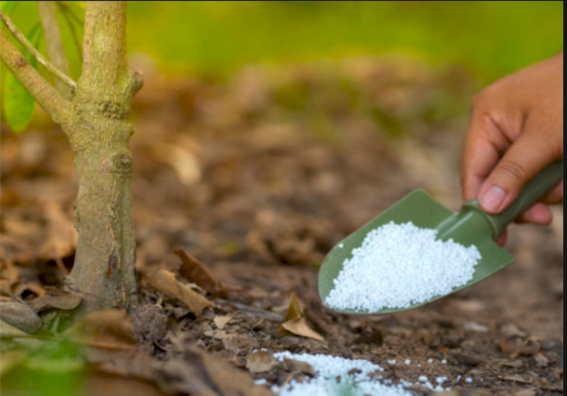 Urea ex Geelong
