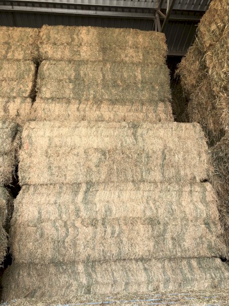 400 Bales of 24' Season vetch Hay A1