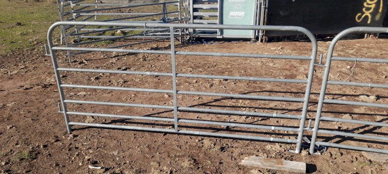 Sheep Yard Panels