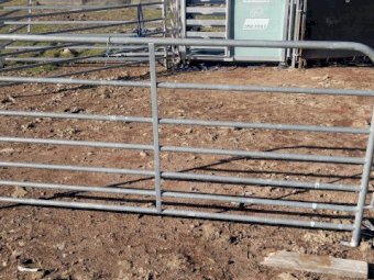 Sheep Yard Panels