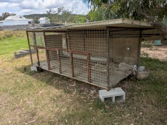 3 Dog Kennel