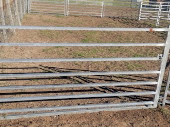 47 x sheep panels